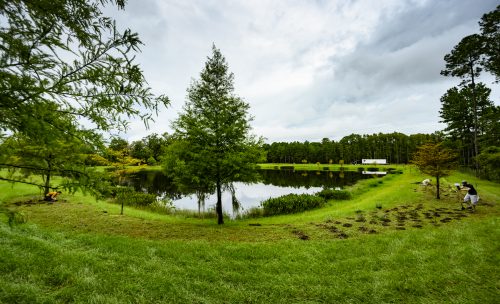 Wide angle view of researchers planting milkweeds and nectar plants in a retention basin.