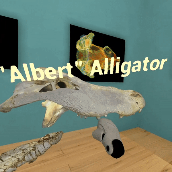 Virtual Reality space