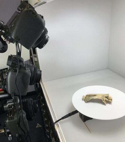 Photogrammetry – Digital Imaging Division