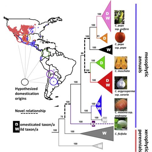 Graphical abstract from Kates et al. 2017