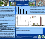 Effects of temperature and food on bird incubation behavior