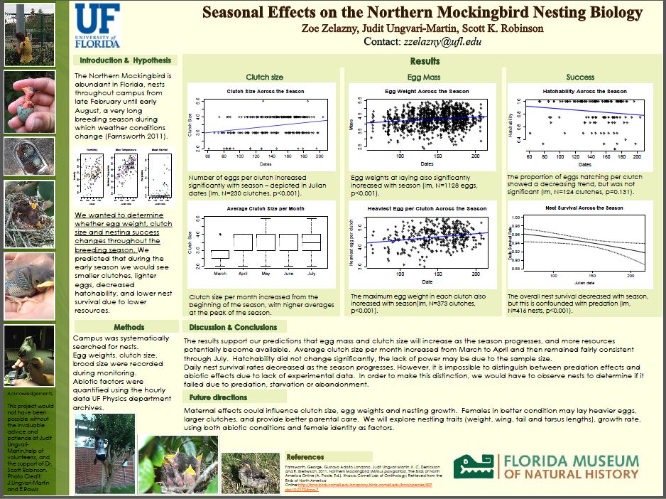 Seasonal Effects on the Northern Mockingbird Nesting Biology