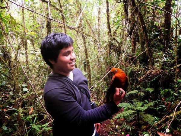 Renato holding an Andean cock of the rock