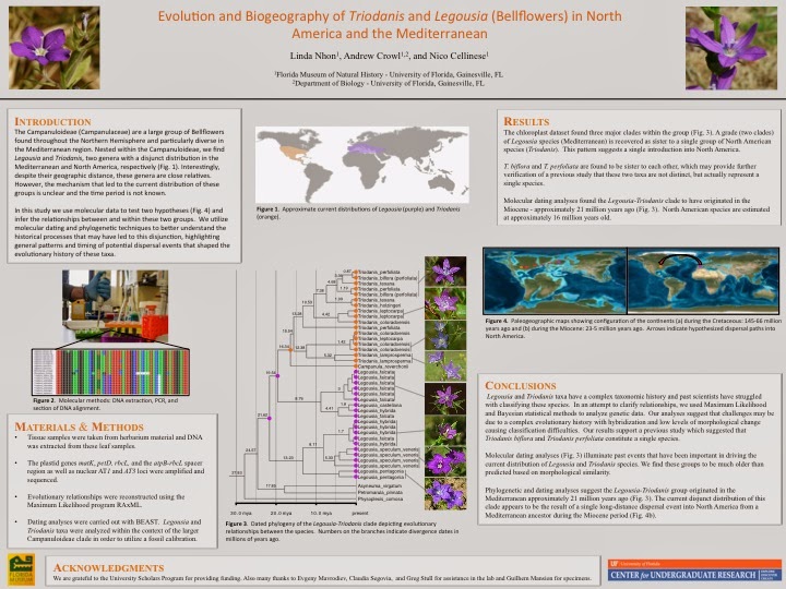 New data on Legousia and Triodanis poster