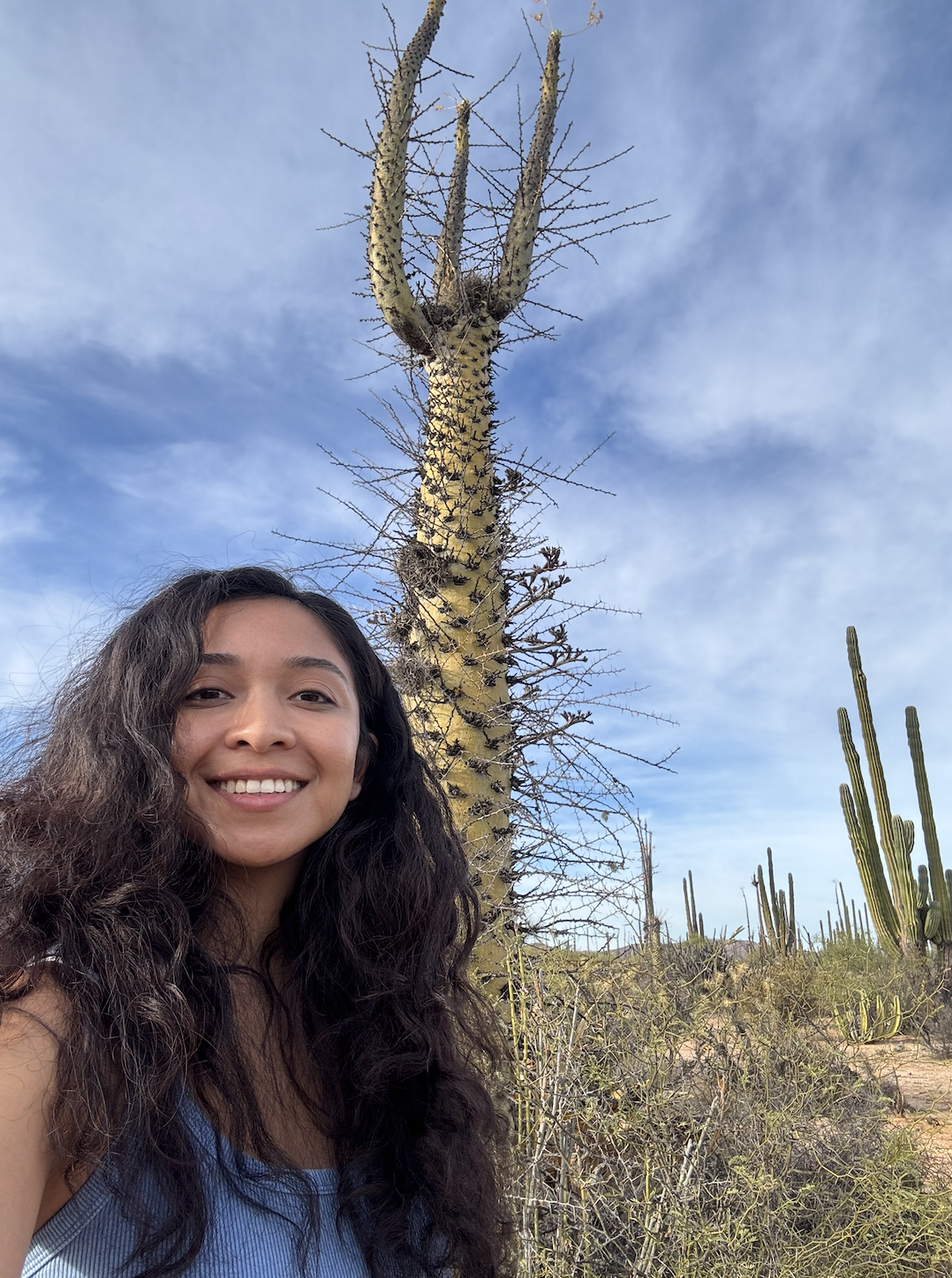 Uzun boyli qizlar poshnali va paypoq porno Ural köfte shousidagi qizlar ishtirokidagi porno